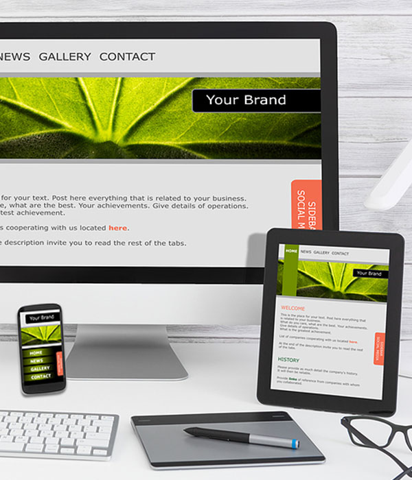 Web Design & Development